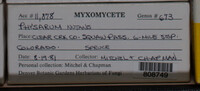 Image Associated With the Occurence